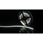 Лента светодиодная стандарт 3014 240 LED/м 24Вт/м 12В IP20 со скотчем 3М холод. бел. (уп.5м) SWG Standard 00-00009255
