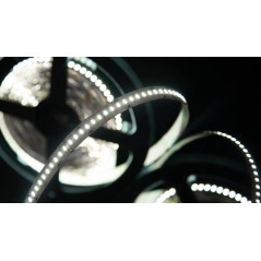 Лента светодиодная стандарт 3014 240 LED/м 24Вт/м 12В IP20 со скотчем 3М холод. бел. (уп.5м) SWG Standard 00-00009255