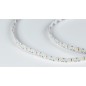 Лента светодиодная стандарт 3014 240 LED/м 24Вт/м 12В IP20 со скотчем 3М холод. бел. (уп.5м) SWG Standard 00-00009255