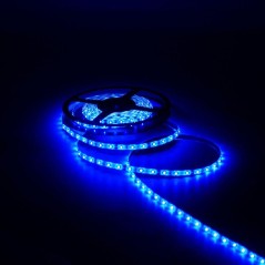 Лента светодиодная Black 2835/60-SMD 4.8Вт/м син. IP66 210лм/м 12В (блист.5м) GAUSS 311000505