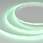 Лента COB-X544-8mm 24В Green 11.5Вт/м IP20 (уп.5м) Arlight 032174(3) Лента COB-X544-8mm 24В Green 11.5Вт/м IP20 (уп.5м) Arlight 032174(3)