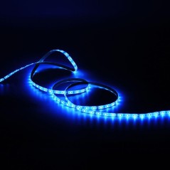Лента светодиодная Black 2835/60-SMD 4.8Вт/м 6500К холод. бел. IP66 210лм/м 12В (блист.5м) GAUSS 311000305
