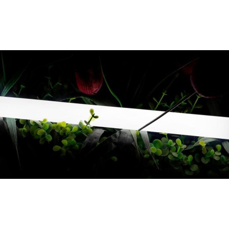 Лента светодиодная неоновая 2835 360град. LED/м 16 Вт/м 24В IP66 нейтр. бел. (уп.5м) SWG PRO 00-00013284