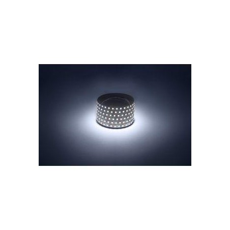 Лента светодиодная LS2835 -9.6-120-12-6500K-IP20-1 year-50m холод. бел. (уп.50м) Эра Б0059925