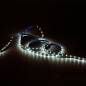 Лента светодиодная Basic 2835/60-SMD 4.8Вт/м 3000К тепл. бел. IP20 312лм/м 12В 8мм (уп.2м) GAUSS BT003