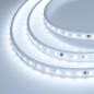 Лента светодиодная ARL-PV-B54-15.5mm 230V White 6000К 5060 8Вт/м IP65 герметичная (уп.10м) Arlight 029403(2)