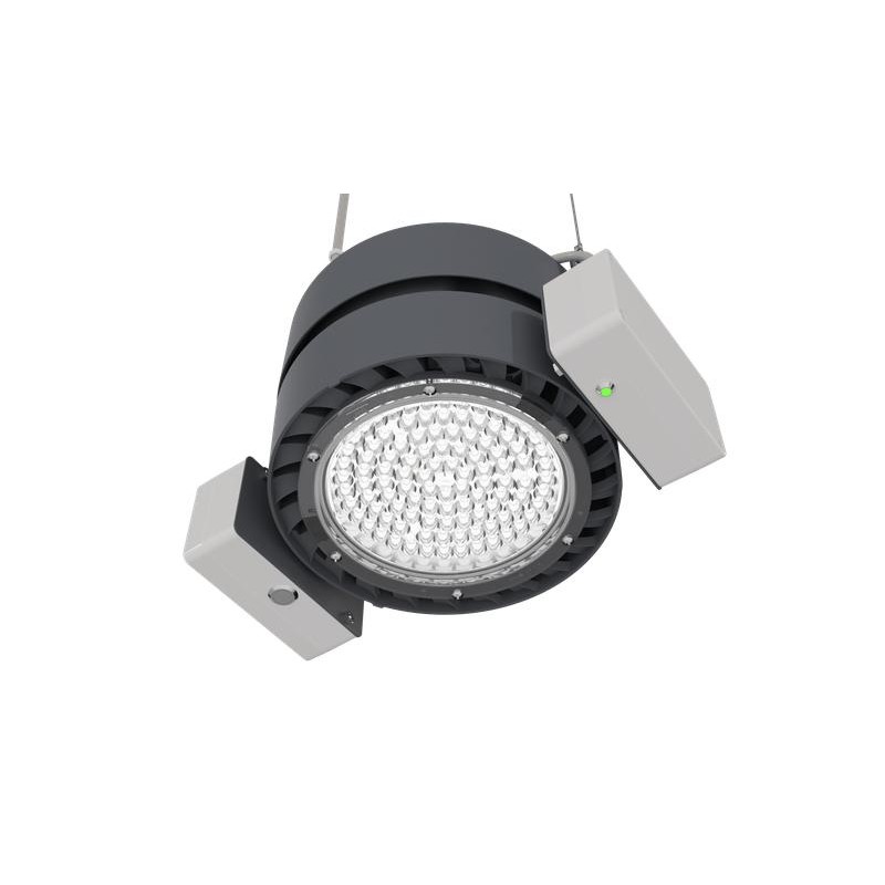 Светильник светодиодный L-industry II Em/114/Г60/5.0K/05/IKX-31/230AC IP65 LEDEL INII114-361-514-1271