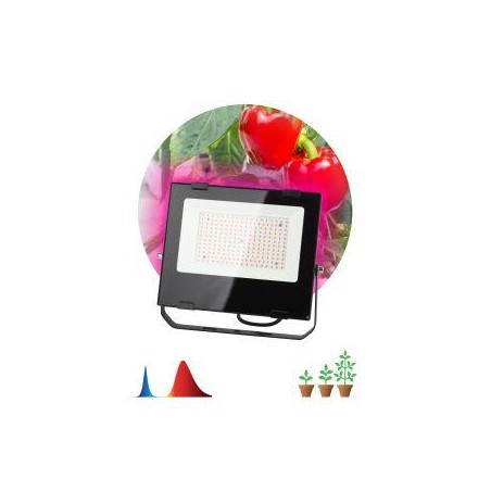 Прожектор светодиодный для растений FITO-100W-RB-LED для цветения и плодоношения красно-синего спектра ЭРА Б0046369