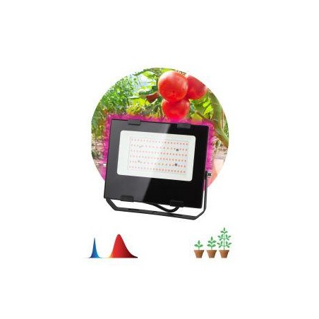 Прожектор светодиодный для растений FITO-50W-RB-LED 50Вт IP65 для цветения и плодоношения красно-синего спектра ЭРА Б0046368