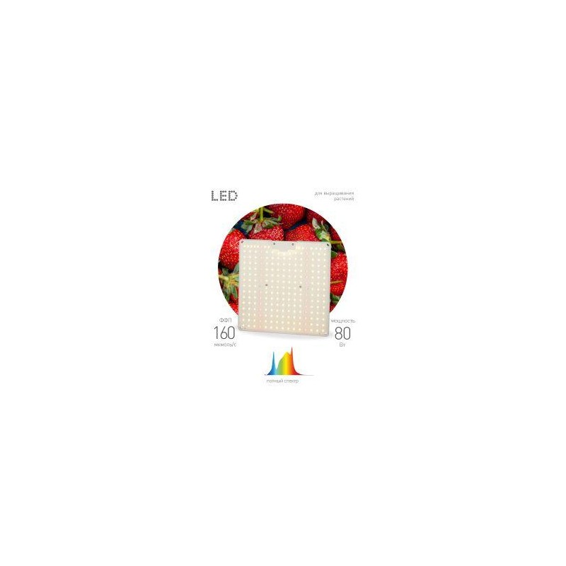 Фитопрожектор светодиодный для растений FITO-80W-LED-QB Quantum board Эра Б0053285 Фитопрожектор светодиодный для растений FITO-80W-LED-QB Quantum board Эра Б0053285