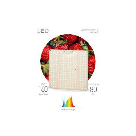 Фитопрожектор светодиодный для растений FITO-80W-LED-QB Quantum board Эра Б0053285