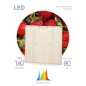 Фитопрожектор светодиодный для растений FITO-80W-LED-QB Quantum board Эра Б0053285 Фитопрожектор светодиодный для растений FITO-80W-LED-QB Quantum board Эра Б0053285