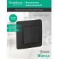 Выключатель 2-кл. СП Blanca 10А IP20 (сх. 5) 250В антрацит SE BLNVS010506 Выключатель 2-кл. СП Blanca 10А IP20 (сх. 5) 250В антрацит SE BLNVS010506