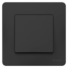 Переключатель проходной 1-кл. СП Blanca 10А IP20 (сх. 6) 250В антрацит SE BLNVS010606