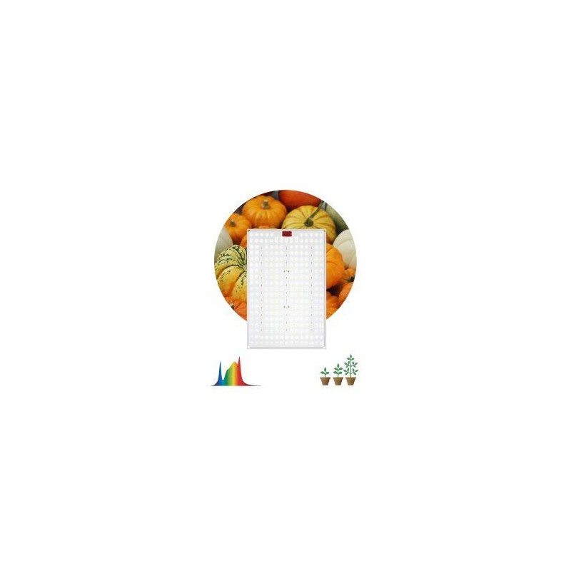 Панель светодиодная FITO-160W-LED-QB Quantum board 160Вт полноспектральная для растений IP65 Эра Б0057283 Панель светодиодная FITO-160W-LED-QB Quantum board 160Вт полноспектральная для растений IP65 Эра Б0057283