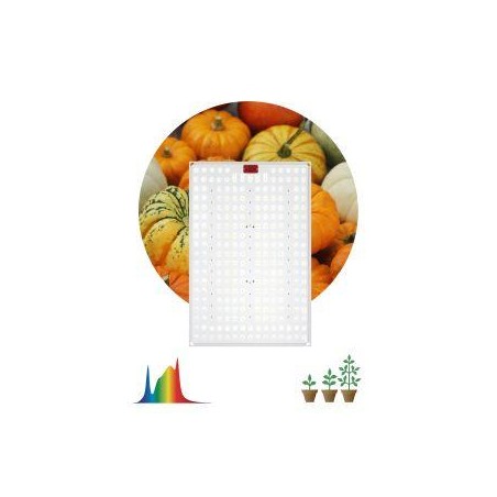Панель светодиодная FITO-160W-LED-QB Quantum board 160Вт полноспектральная для растений IP65 Эра Б0057283