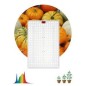 Панель светодиодная FITO-160W-LED-QB Quantum board 160Вт полноспектральная для растений IP65 Эра Б0057283 Панель светодиодная FITO-160W-LED-QB Quantum board 160Вт полноспектральная для растений IP65 Эра Б0057283
