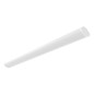 Светильник ДПО52-40-532 Optimus NL 840 LED 38Вт 4000К IP65 Ардатов 1166440532 Светильник ДПО52-40-532 Optimus NL 840 LED 38Вт 4000К IP65 Ардатов 1166440532