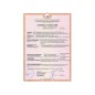 Обогреватель инфракрасный BHH/M-10 Ballu НС-1168707