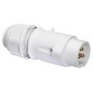 Вилка панельная 16А 3п 2P+PE 12ч IP44 55 Quick-Connect Bals 4429 Вилка панельная 16А 3п 2P+PE 12ч IP44 55 Quick-Connect Bals 4429