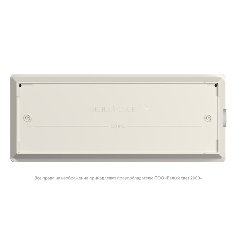 Светильник аварийный BS-UNIVERSAL-53-L1-INEXI2 DD01 Белый Свет a22572