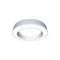 Светильник светодиодный ДСО32-80-201 Ring 840 Ардатов 1259480201