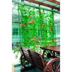 Комплект для вьющихся растений сборный 0.6х1.8м (18/162) Green Apple Б0008305