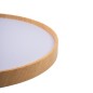 Светильник светодиодный декоративный PPB PINE 72Вт DIM 3000-6500К IP20 D485х75 настенно-потолочный бытовой с пультом JazzWay 505