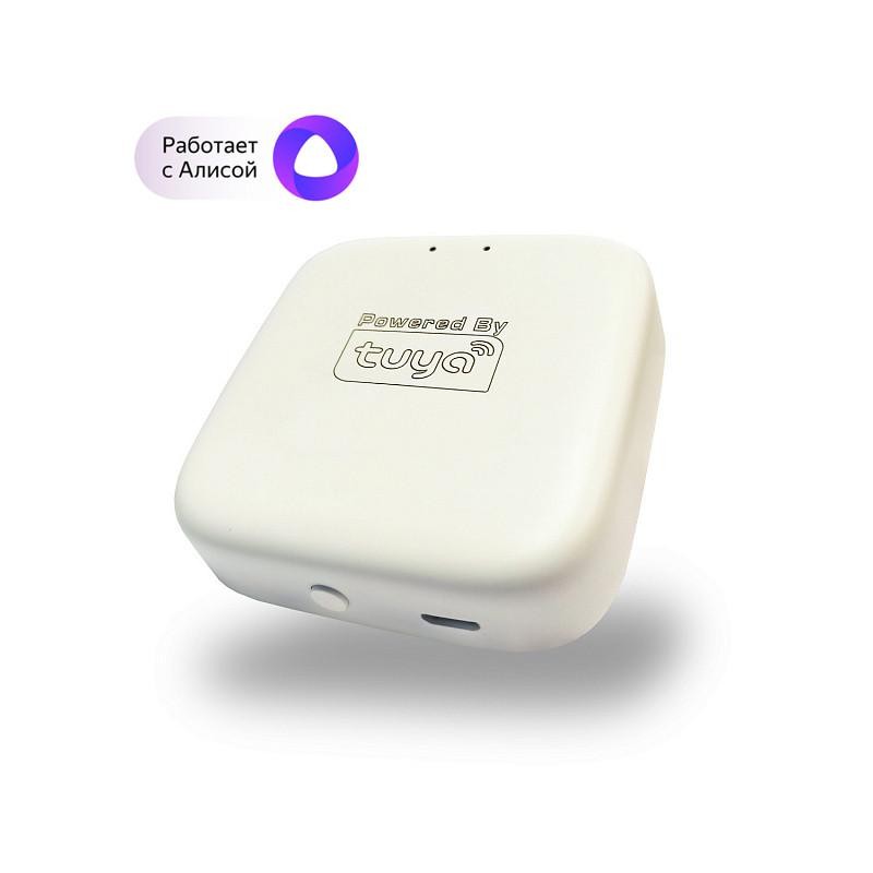 Конвертер WIFI SMART DENKIRS DK7400-WF Конвертер WIFI SMART DENKIRS DK7400-WF