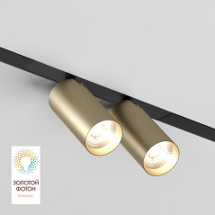 Светильник акцентный SMART SPOT DOUBLE 2х9Вт DIM 3000К-6000К матов. зол. с черн. DENKIRS DK8012-BG