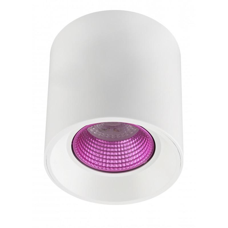 Светильник накладной IP20 10Вт GU5.3 LED бел./роз. пластик DENKIRS DK3090-WH+PI Светильник накладной IP20 10Вт GU5.3 LED бел./роз. пластик DENKIRS DK3090-WH+PI
