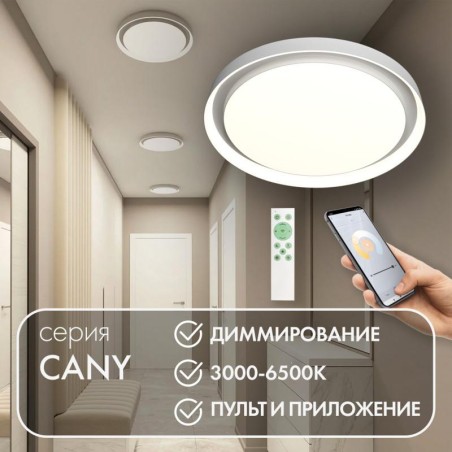 Светильник накладной со встроенным светодиодом 50Вт IP20 3000К-6500К управление пульт Д/У (в комплекте) и Wi-Fi 2.4Ггц эко систе