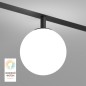 Светильник рассеивающий SMART MOON 5Вт DIM 3000К-6000К 100мм черн. акрил DENKIRS DK8050-BK Светильник рассеивающий SMART MOON 5Вт DIM 3000К-6000К 100мм черн. акрил DENKIRS DK8050-BK