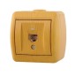 Розетка компьютерная 1-м ОП Nata RJ45 ольха LEZARD 710-0700-139 Розетка компьютерная 1-м ОП Nata RJ45 ольха LEZARD 710-0700-139