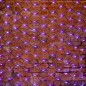 Гирлянда светодиодная "Сеть" 2х1.5м 288LED бел./син. 43Вт 220-240В IP67 провод каучук черн. Neon-Night 217-113