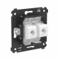 Розетка компьютерная 2-м СП Avanti "Белое облако" RJ45 кат.6 без шторок механизм DKC 4400694 Розетка компьютерная 2-м СП Avanti "Белое облако" RJ45 кат.6 без шторок механизм DKC 4400694