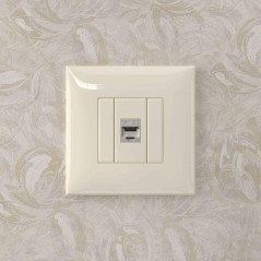 Розетка компьютерная 1-м СП Avanti "Ванильная дымка" RJ45 кат.5E без шторок экранир. механизм DKC 4405763