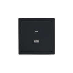 Розетка Type-C+ USB разъем СП ZIMA IP20 черн. бархат LEZARD 704-4288-192TC