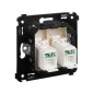 Розетка компьютерная 2-м СП Avanti "Ванильная дымка" RJ45 кат.5E DKC 4405464 Розетка компьютерная 2-м СП Avanti "Ванильная дымка" RJ45 кат.5E DKC 4405464
