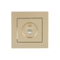 Розетка компьютерная VESNA зол. LEZARD 742-3688-139