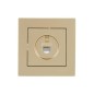 Розетка компьютерная VESNA зол. 140 LEZARD 742-3688-140