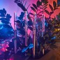 Светильник светодиодный садовый "Каскад Аврора" 5м LED мультиколор 3Вт IP65 с выносной солнечн. панелью 2м, аккум. монтаж в грун