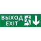 Пиктограмма ДСО-IP65-Н "Выход Фигура - вниз 1" DEKraft 60510DEK Пиктограмма ДСО-IP65-Н "Выход Фигура - вниз 1" DEKraft 60510DEK