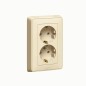 Розетка 2-м СП Cariva 16А IP20 2х2P+E немецк. стандарт сл. кость (DIY-упак.) Leg 695918 Розетка 2-м СП Cariva 16А IP20 2х2P+E немецк. стандарт сл. кость (DIY-упак.) Leg 695918