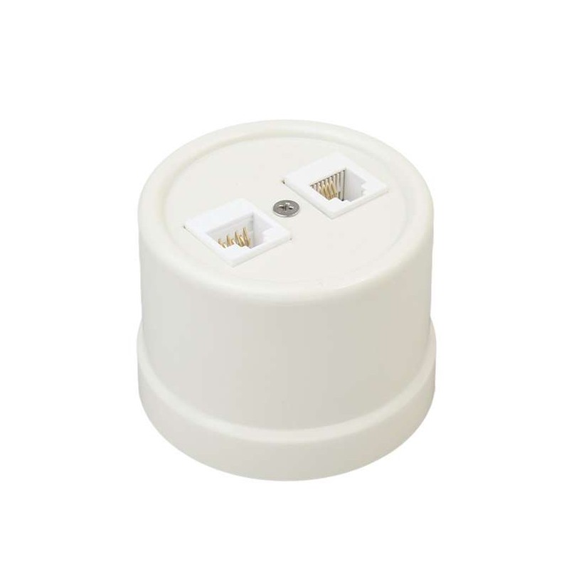 Розетка компьютерная 2-м ОП Лизетта RJ45 10А IP20 ретро кат.5E ABS-пластик сл. кость Bironi B1-302-211 Розетка компьютерная 2-м ОП Лизетта RJ45 10А IP20 ретро кат.5E ABS-пластик сл. кость Bironi B1-302-211