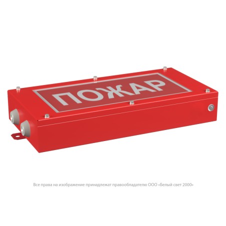 Указатель световой BS-CANRON-71-S1-INEXI2 автономный Белый свет a15569