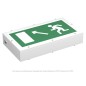 Указатель световой BS-FLAGMAN-81-S1-INEXI3-FELS Белый свет a17396