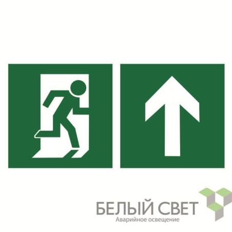 Знак безопасности BL-3015B.E38"Напр. к эвакуационному выходу прямо" Белый свет a18154