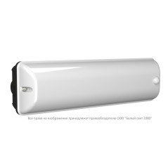 Светильник аварийный BS-METEOR-10-L4-LED 4000К DD01 Black Белый свет a32022