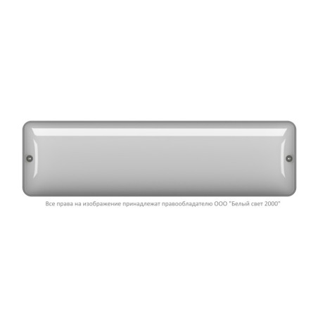 Светильник аварийный BS-METEOR-71-L2-INEXI3 5000К Black Белый свет a32265
